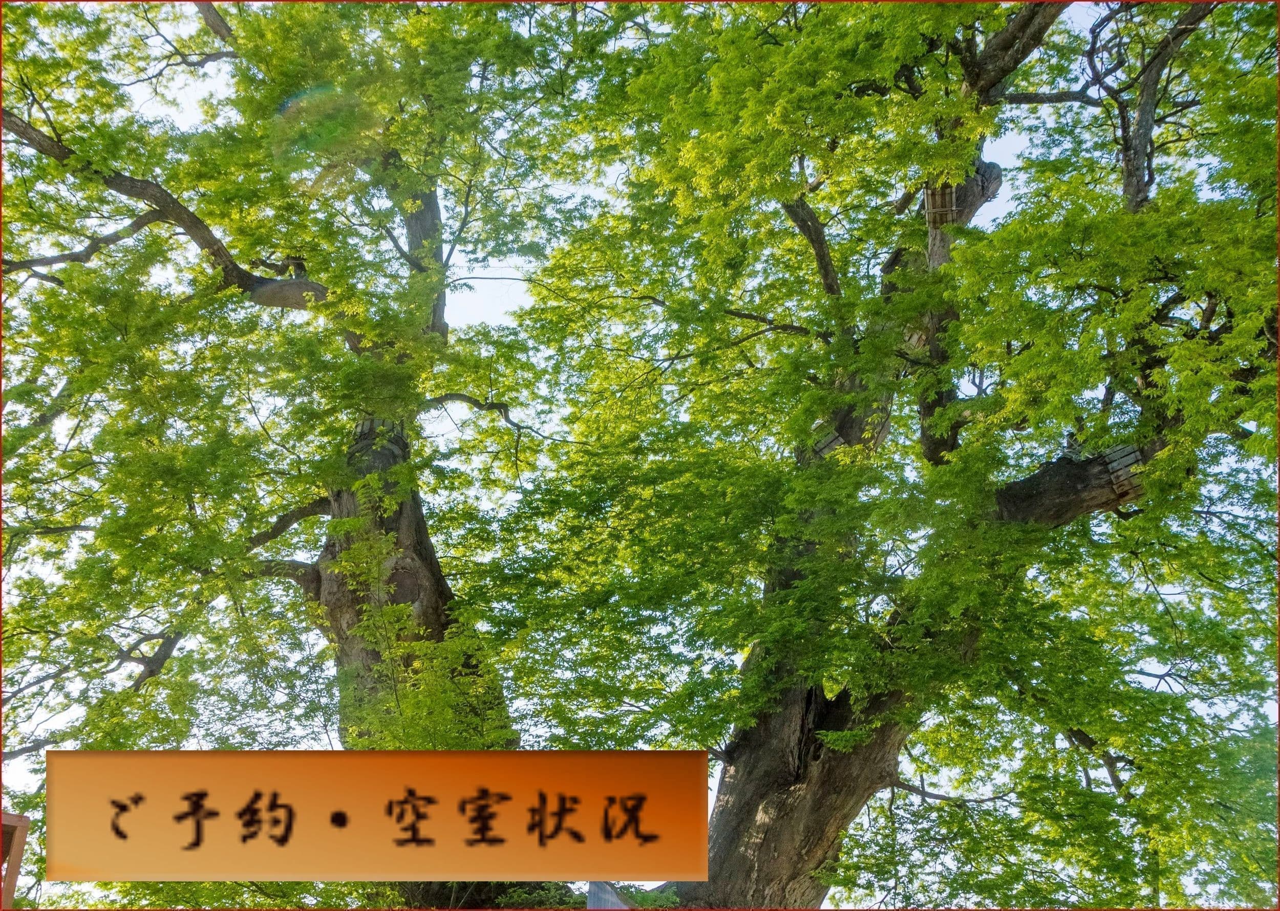 小野川温泉　米沢牛　さくらんぼ