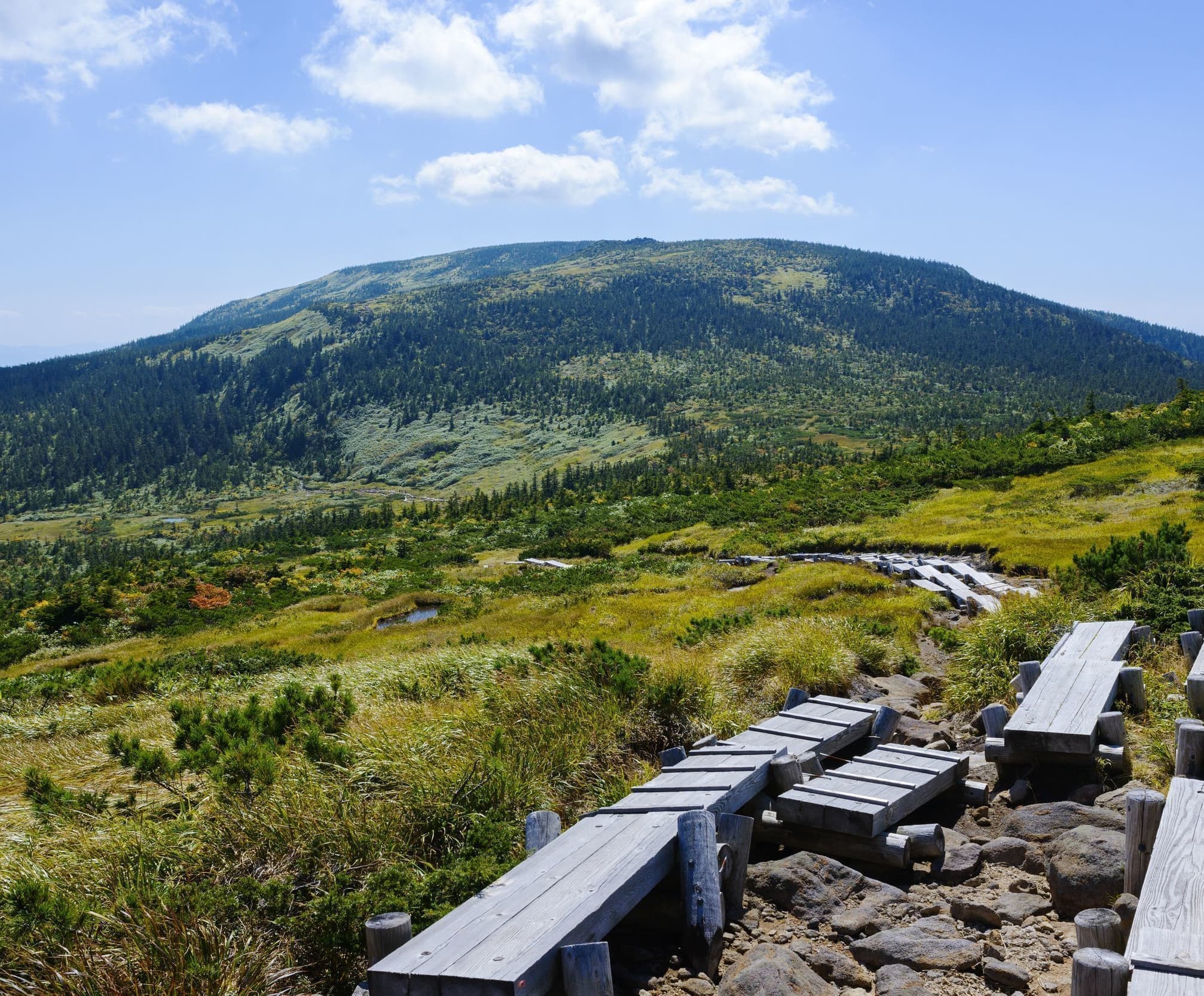 温泉　旅　自然　米沢牛